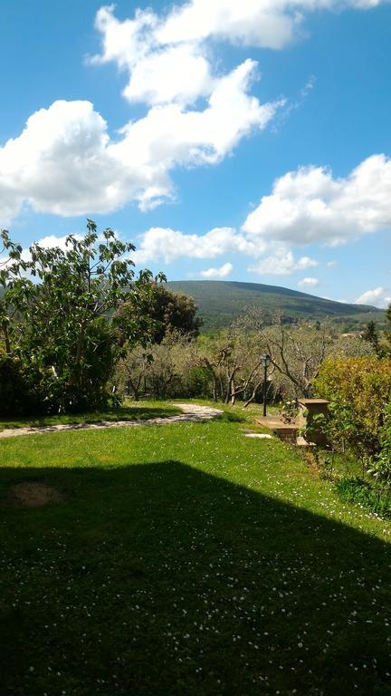 Villa Borgo Montauto San Gimignano Esterno foto